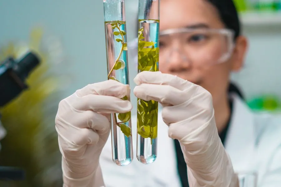 woman holding a test tube containing bio ingredients in lab